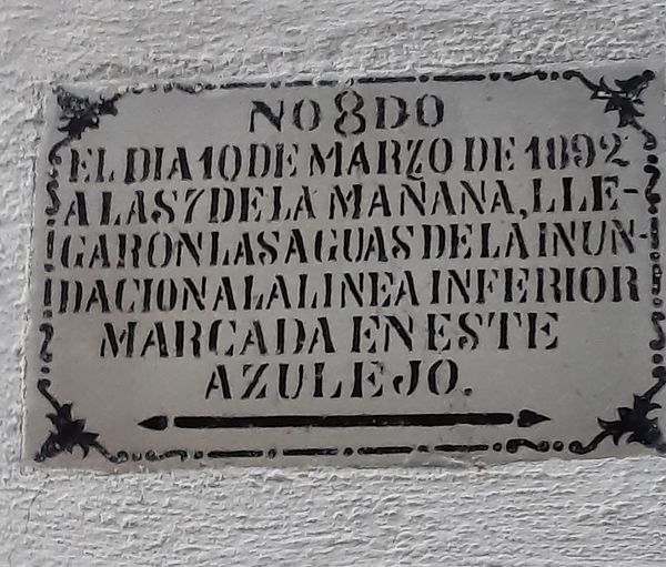 Azulejo llegada rio